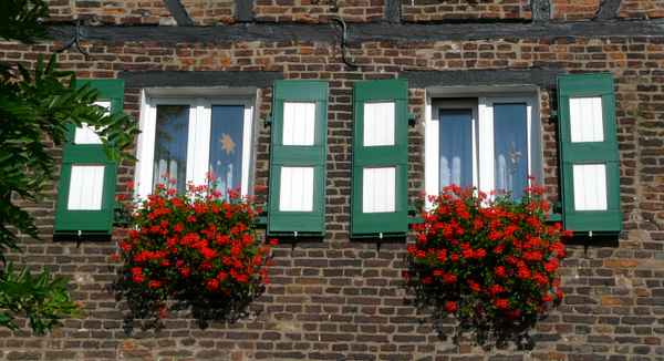 Zons am Rhein #18