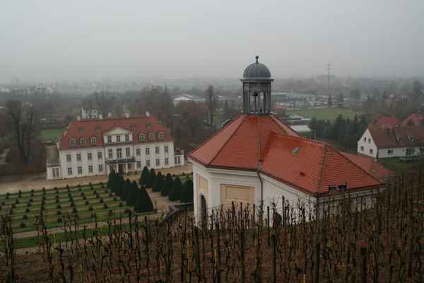 Weingut Schloß Wackerbarth im November