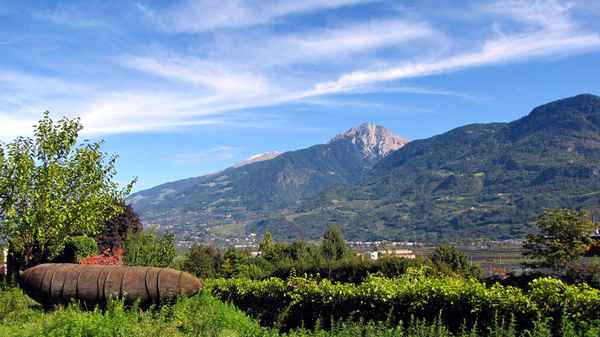 Gartenbombe in mediterranem Ambiente