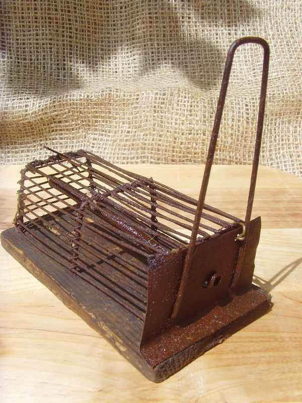 Ausgediente Mausefalle...