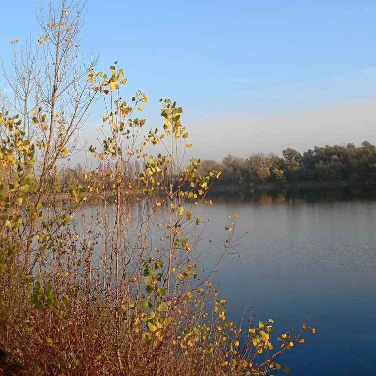 alter Baggersee 1