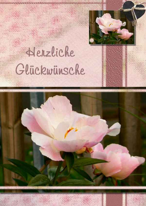 Herzliche Glückwünsche