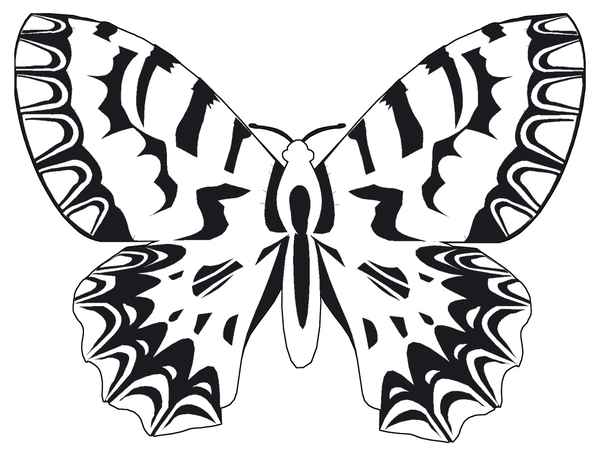 Werkzeugspitze - Schmetterling