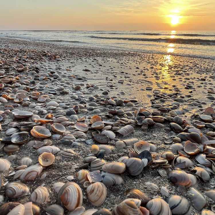 Abends am Strand