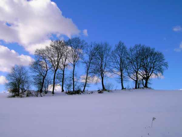  Winter im Odenwald