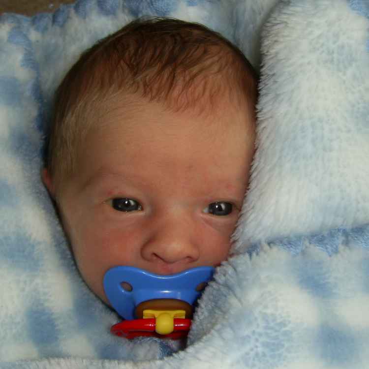 Leon der Kuschelknabe