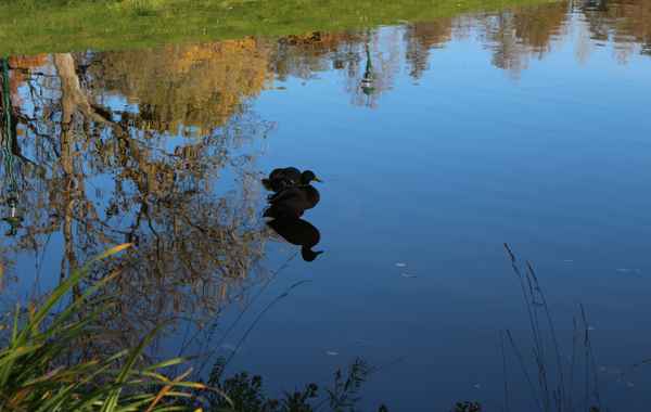 Herbstspaziergang im Kurpark Oberlaa 07