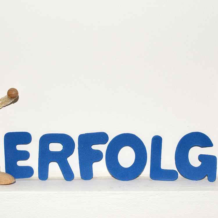 Holzmännchen Erfolg 2