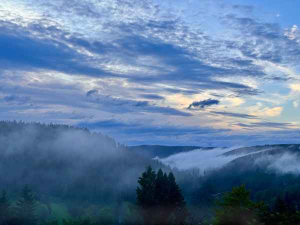 Schwarzwald-Dämmerung