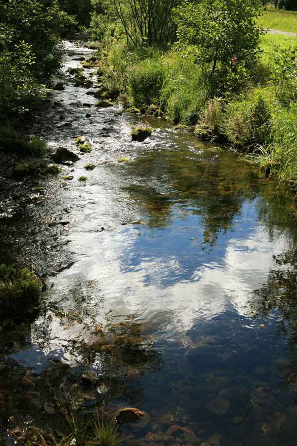 Wandern im Tonbachtal