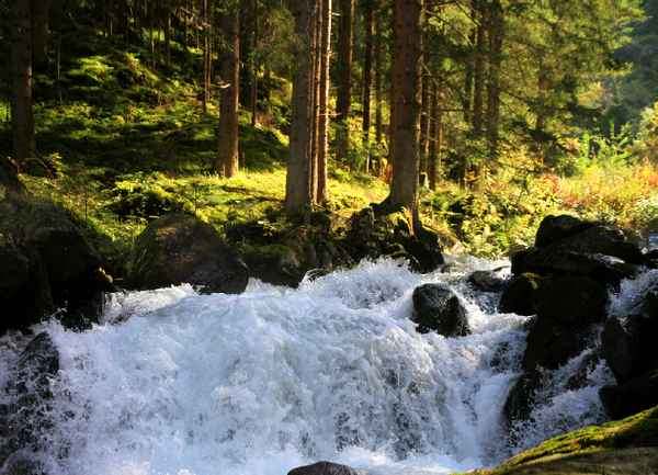 ÜBER STOCK UND STEIN III