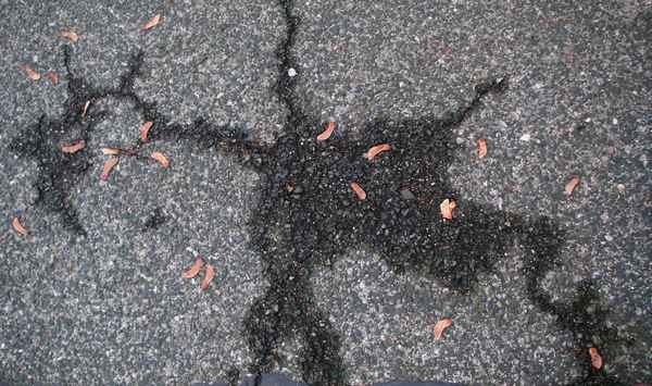 archaisches Asphalt-Pferd