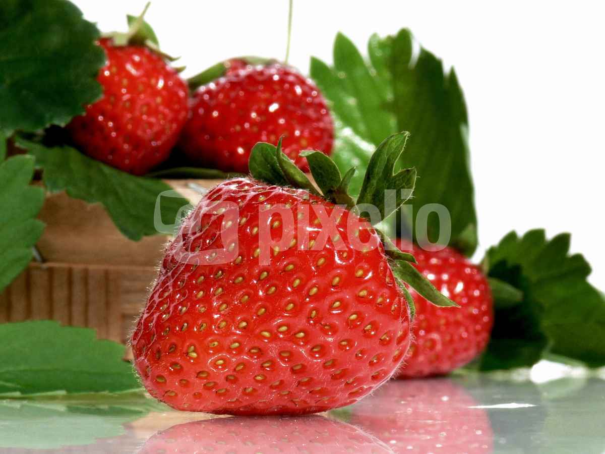 Strawberries (nur redaktionelle Nutzung)