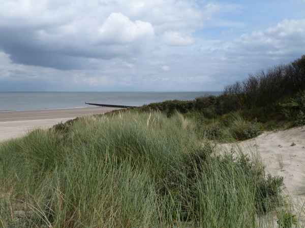 Am Meer (2)