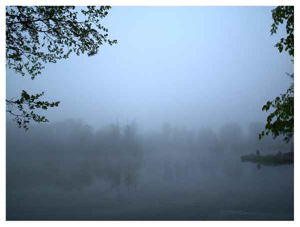 Morgendliche Angler