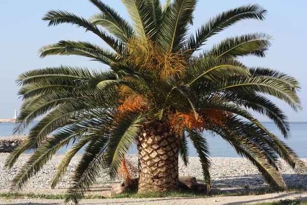 Herbstmorgen am Ufer
