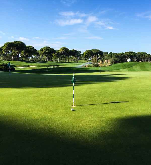 Putting-Green Montgomerie
