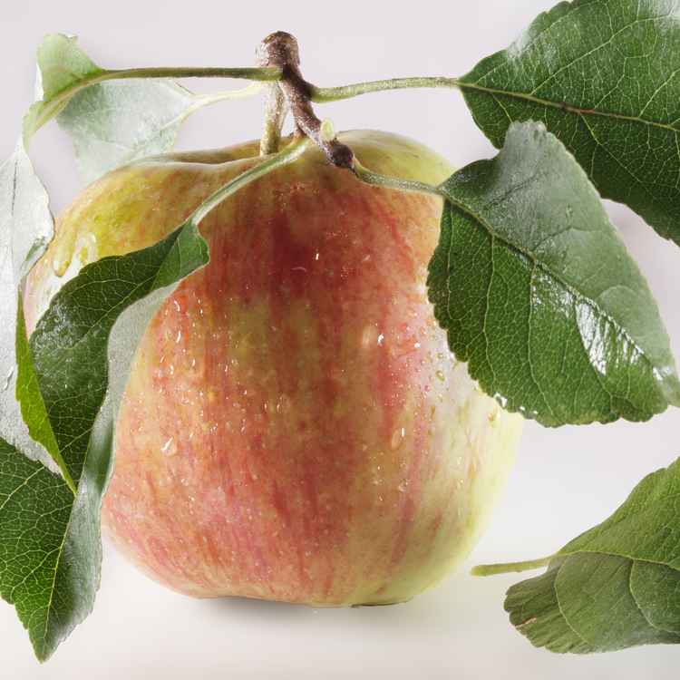 Ein zweiter Apfel