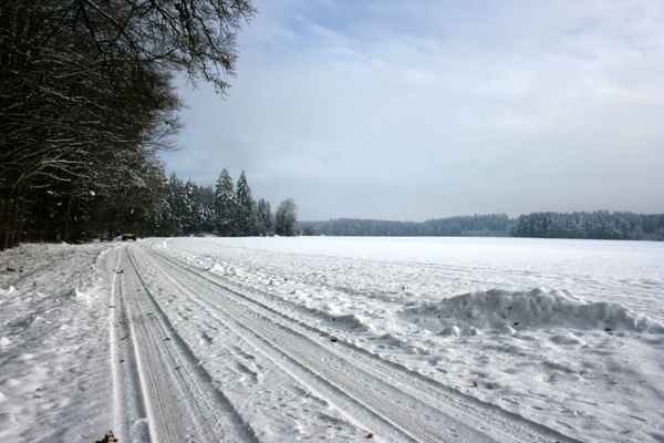 Winterwald 12