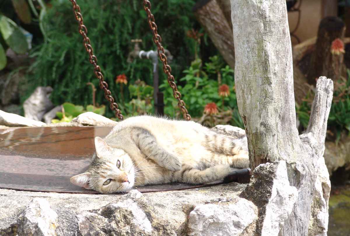 Entspanntes Päuschen in der Sonne