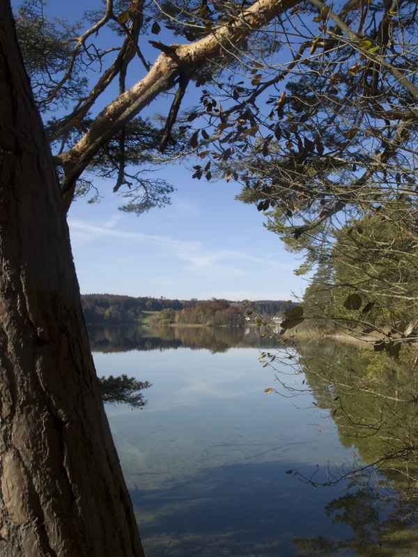Herbststimmung rund um die Osterssen 11