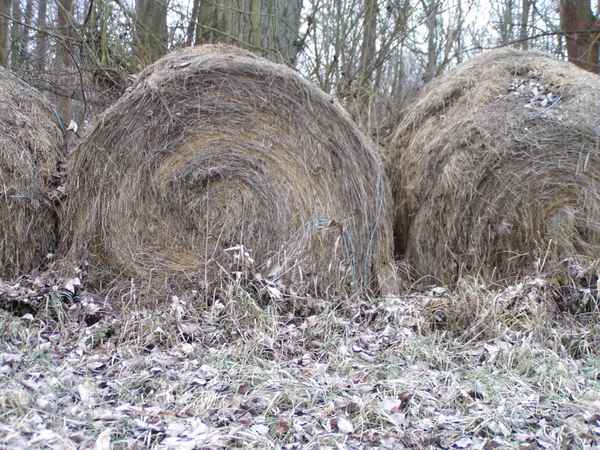 Strohballen im Raureif