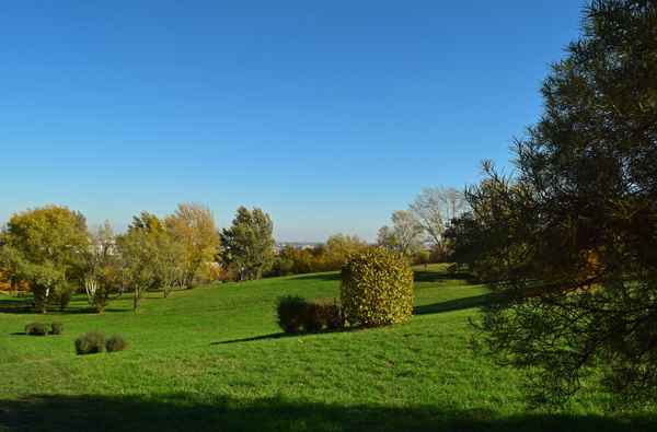 Kaiserwetter in Wien 02