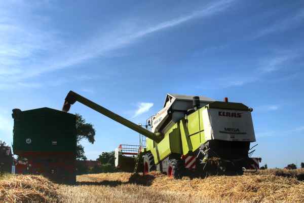 optimales erntewetter