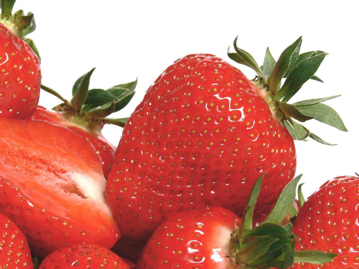 Dessert I (nur redaktionelle Nutzung)