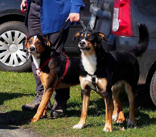 wann geht's endlich los