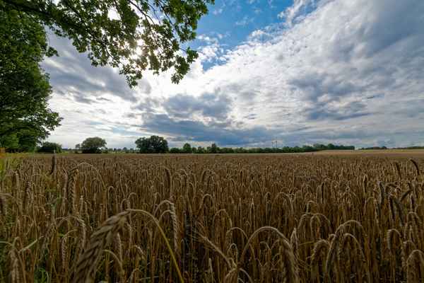 Spuren der Regenperiode