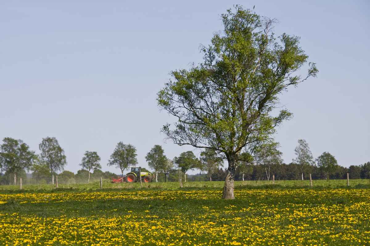Grüne Landwirtschaft
