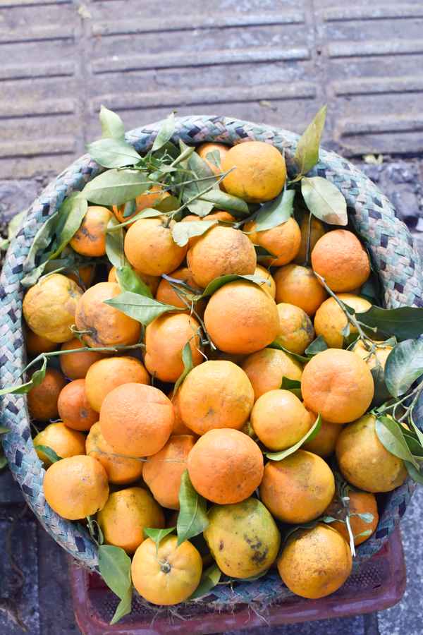Orange in basket