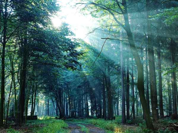 die sonne bricht durch