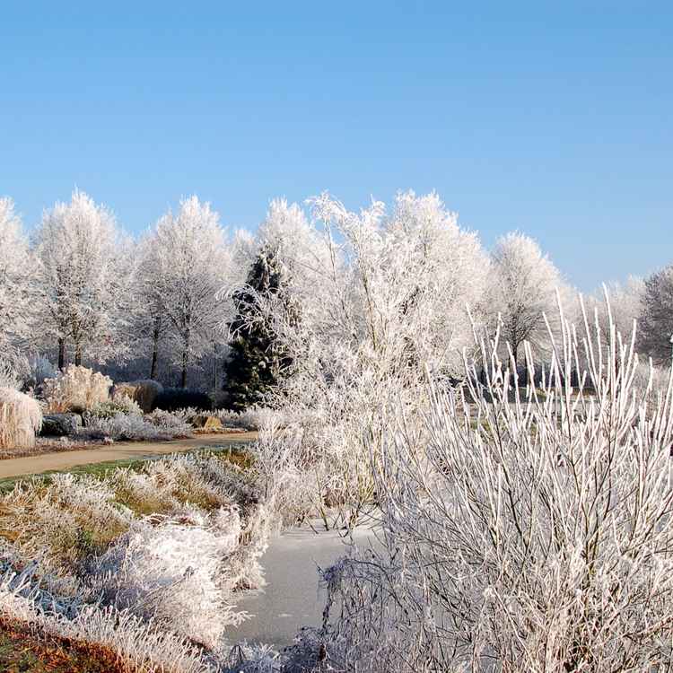 Winterpark
