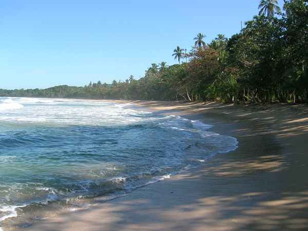 Stand mit Palmen und Wellen