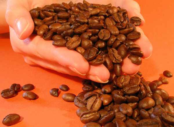 eine Handvoll Kaffee