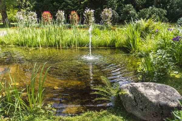 Sommer-Idylle im Park