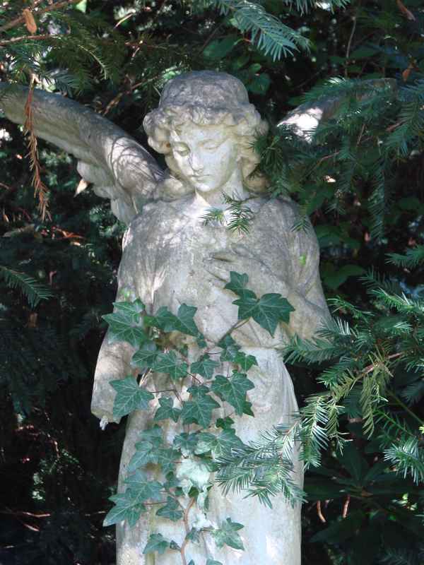 alter Engel