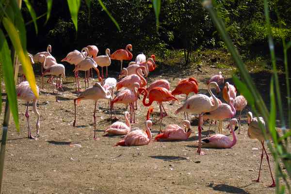 In der Sonne den Tag genießen
