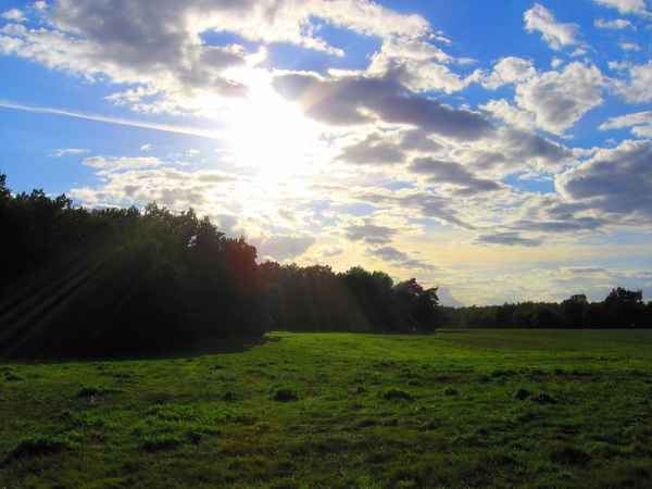 Ausblick