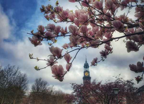 Frühling in Hamburg