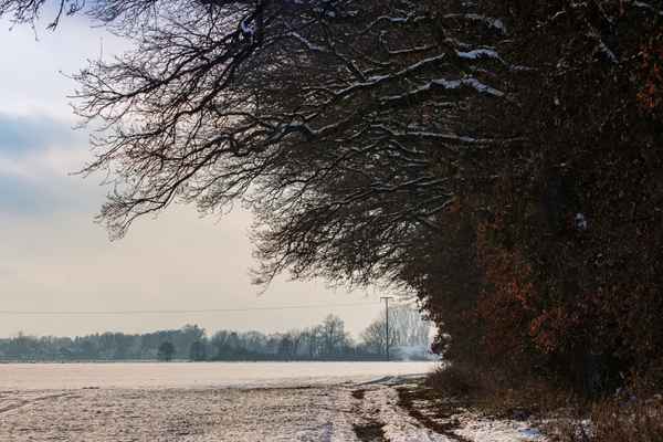 Waldrand