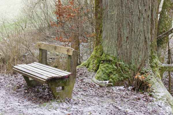 die Bank unter der Linde