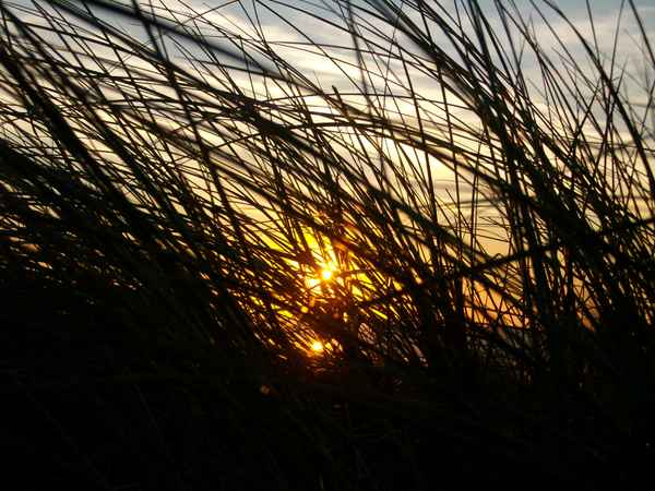 Sonnenuntergang hinter sich im Wind dehnender Düne