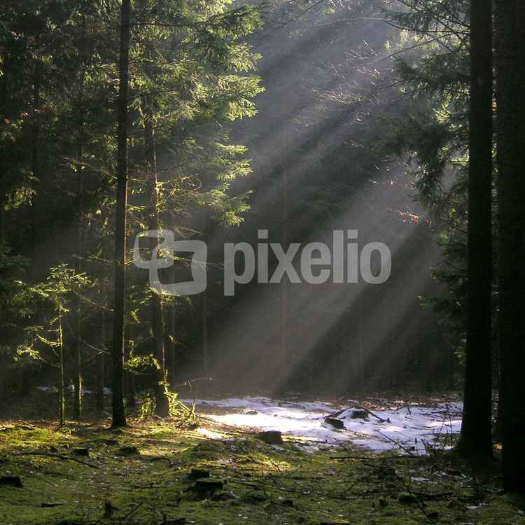 Lichtblick