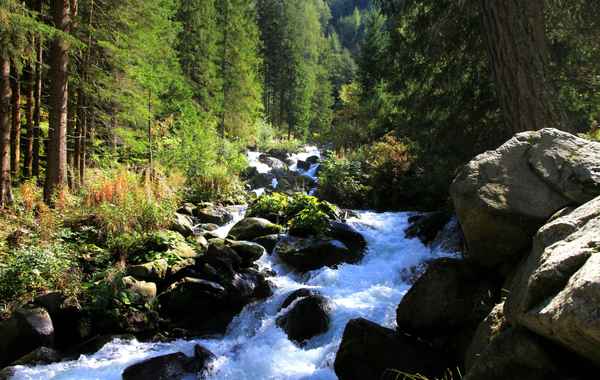 ÜBER STOCK UND STEIN II