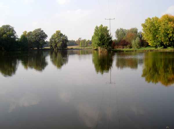 See in Neuhaus