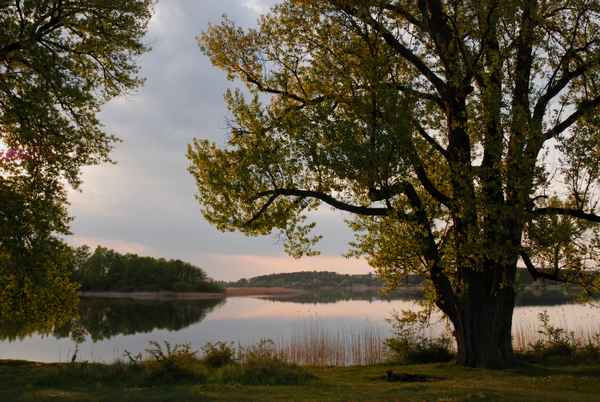 See-Idyll