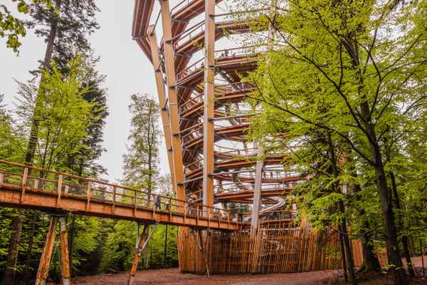Baumwipfelpfad in Bad Wildbad 2